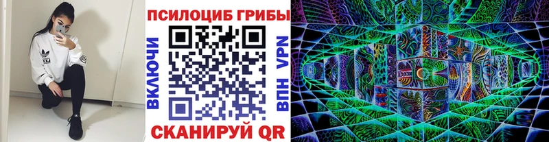 Купить  Красавино  Псилоцибиновые грибы Psilocybine cubensis 